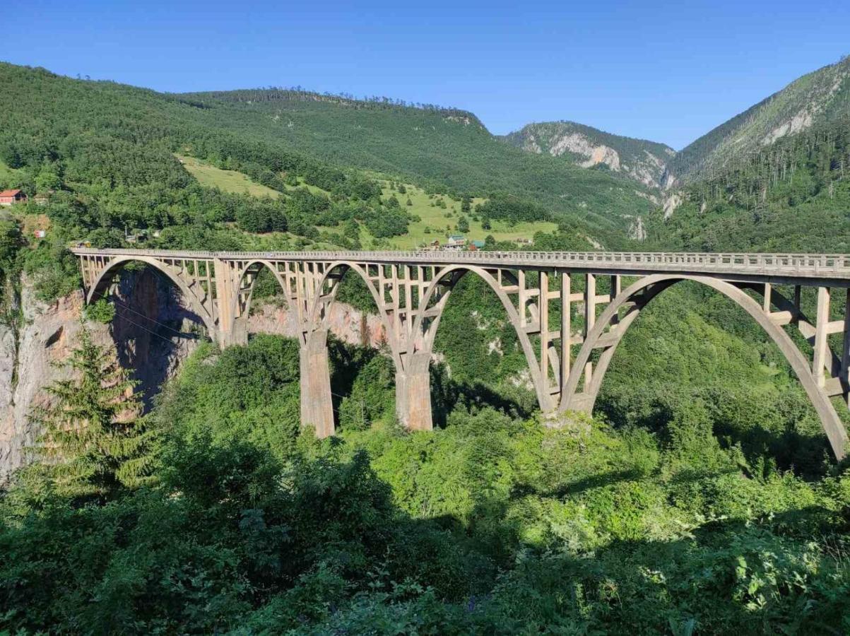 Vila Mountain Soul Rest Žabljak Exteriér fotografie