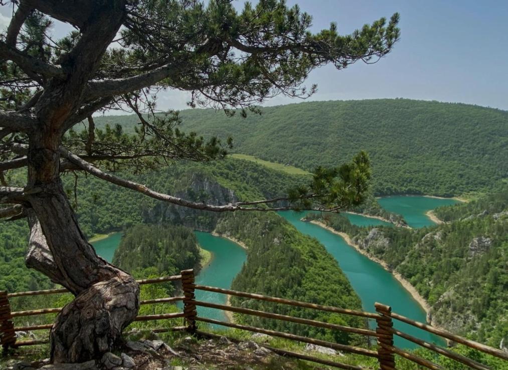 Vila Mountain Soul Rest Žabljak Exteriér fotografie